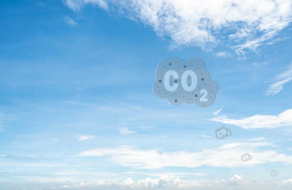 4 tips til at mindske CO2 på farsdag